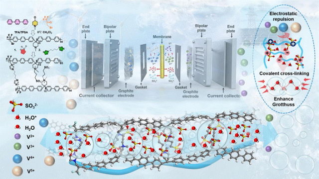 Graphical abstract_00